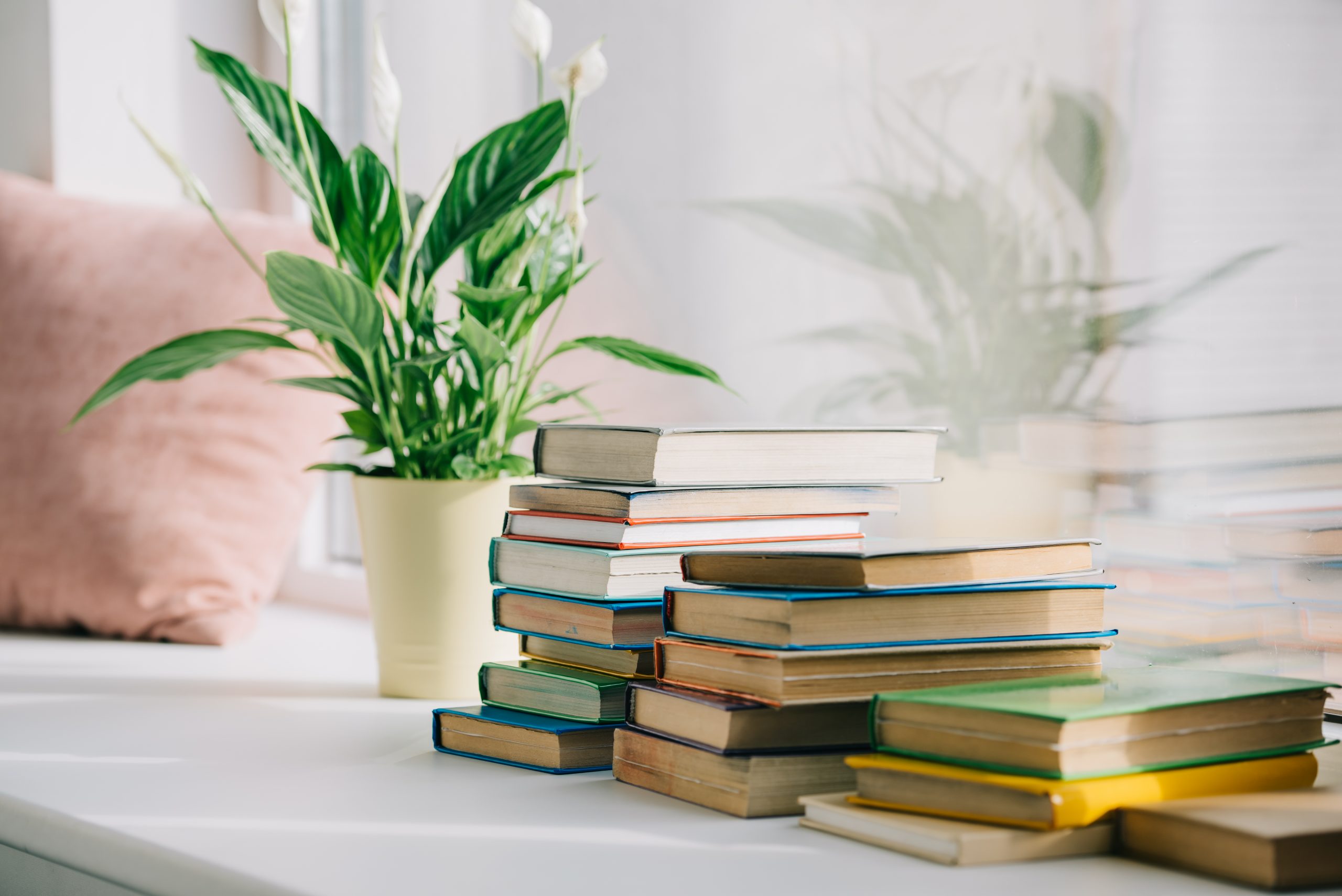 picture of stacks of books next to a plant